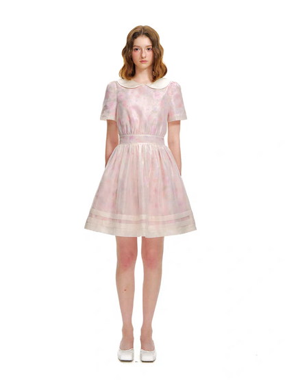 Romance Nanci. Original Design Rose Oil Painting Puff Dress with Peter Pan Collar